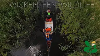 🛶🌿🍵 Canoeing The National Trust's Oldest Nature Reserve, England's Most Famous Fen & Café Pit-Stop