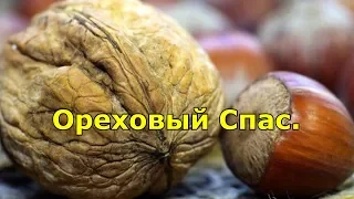 Ореховый Спас. Традиции и приметы праздника.