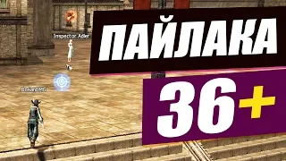 Пайлака 36+  Квест на EXP