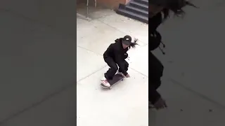 INDO ANDAR DE SKATE NOS DIAS DE HOJE🥲😁