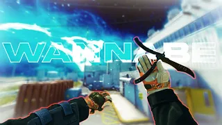 Wannabe ( CSGO Edit )