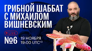 Грибной Шаббат с Михаилом Вишневским №6. Судьба мухомора