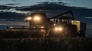 Żniwa Rzepakowe 2023 - Fendt 6275L