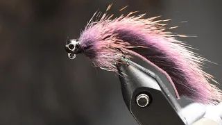 Tie this Stillwater Fly Now! (Pine Squirrel micro leech.)