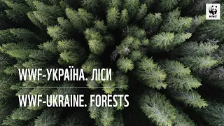 WWF-Україна. Ліси 🌳 WWF-Ukraine. Forests