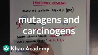 Mutagens and carcinogens | Biomolecules | MCAT | Khan Academy