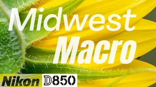 MIDWEST MACRO