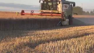 *We GROW - We HARVEST 2013* Full HD ( Moisson, Żniwa, Harvesting, Ernte )