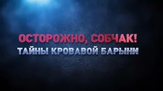 «Осторожно, Собчак! Тайны кровавой барыни»