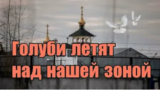 Голуби летят над нашей зоной - Бабанаков Александр