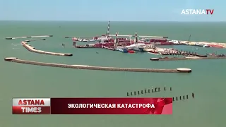 Экологическая катастрофа, грозящая Каспийскому морю, неизбежна, - экологи