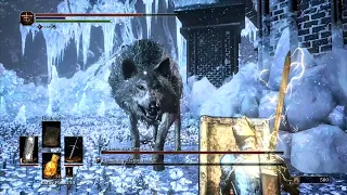 (PS5) Dark Souls 3 - Champion's Gravetender and Greatwolf Boss fight [4K HDR 60FPS]