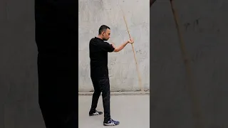 Shaolin staff reverse spin single hand #viral #kungfu #staff