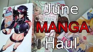 Harem overload |  Light Novel & Manga Haul June 2021