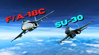 SU-30 Vs F/A-18C | Intense Dogfight | DCS World #dcsworld