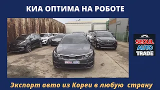 Авто из Кореи. KIA K5 Optima 2019, 1.7 Diesel на роботе! Видосы из Владивостока. Доставка дорожает.