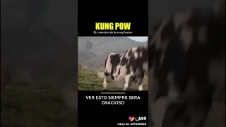 kunfu vaca