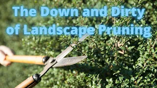 Landscape Pruning - The Whys, Whens and The Tools