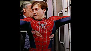 Spider-Man (Tobey Maguire) | Enemy