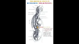 What is the christ germ seed|Semen Retention and No Fap