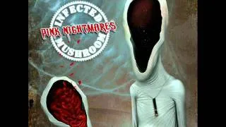 Infected Mushroom - Pink Nightmares (Video mix)