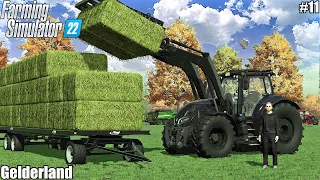 Mowing, Baling and Collecting HAY bales│Gelderland│FS 22│10