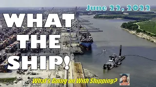 What The Ship!  Ocean Shipping Reform Act, Ukraine-Russia/Black Sea & Maritime Supply-Chain Bullwhip