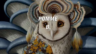 POMME - B. | Türkçe Çeviri