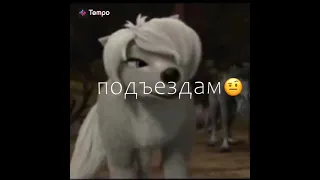 Лили и Гард 🗿💅