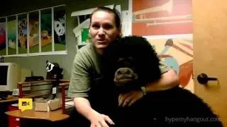 Ivan The Gorilla Hangout On Air- Apr 30, 3:30PM EST