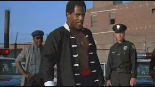 I'm Gonna Git You Sucka - Kung Fu Joe vs Cops