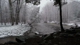 Mid-Winter Snow Shower Over a Mountain Stream in Woodstock, New York