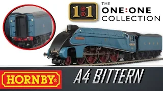 Hornby - The One:One Collection A4 Bittern with Sound (Unboxing & Review)