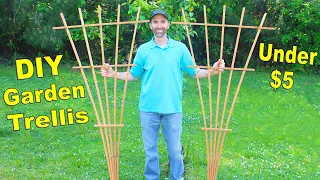 How to Make a 6FT Garden Trellis with 1 Board | Simple DIY Fan Trellis