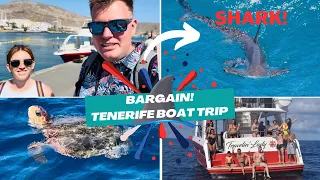 SWIMMING WITH A SHARK 🦈 in Tenerife! BARGAIN Boat Trip Excursion! Whales, Turtles-SUPER VALUE 🤩