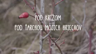 Večný prístav // lyrics video // Odvážny rok // FireFly