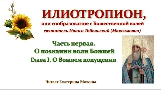 Илиотропион. Ч.1. Гл.1. "О Божием попущении".