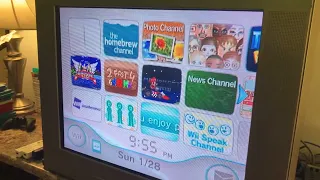 I think my Wii game is broken