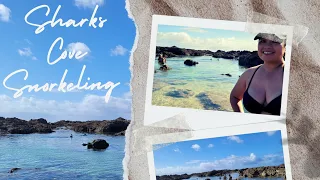 Sharks Cove: Oahu, Hawaii's Top Snorkeling Spot