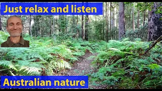 Relaxing subtropical forest sound. Six minutes of meditation. (video V010)