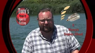 Tony's Spot on Fishing Top 5 Spinnerbaits