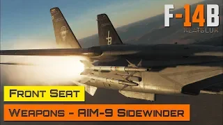 DCS World - F-14 Tomcat - Front Seat - Weapons - AIM-9 Sidewinder