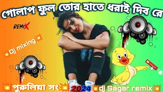 গোলাপ ফুল তোর হাতে ধরাই দিব রে || পুরুলিয়া2024 হিট সং  || Dance mixing ||dj Sagar remix ||