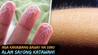 Mga Bagay na Di mo alam sayong Katawan!