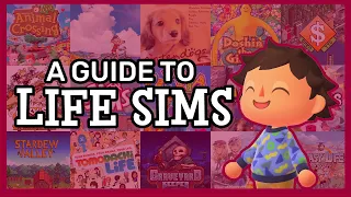 A Practical Guide to Life Simulation Games