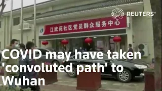 COVID may have taken 'convoluted path' to Wuhan