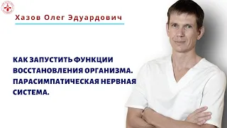 Как запустить функции восстановления организма  Парасимпатическая нервная система