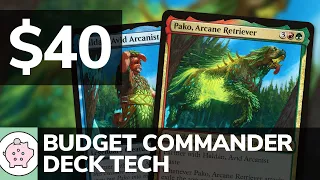 Haldan & Pako | Budget Commander Deck Tech $40 | Theft | EDH | MTG | Commander