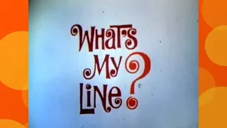 What's My Line (Taped July 1, 1969): Mystery Guest: Jerry Orbach