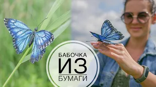 BUTTERFLY from paper / БАБОЧКА из бумаги / DIY TSVORIC